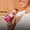 High-Protein Snacks for On-the-Go | MaxiNutrition - MaxiNutrition