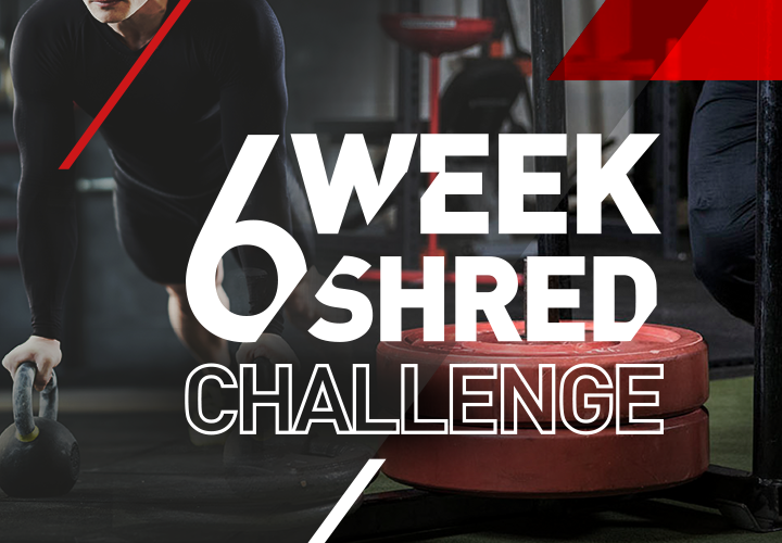 6 Week Shred Article Banner Mobile