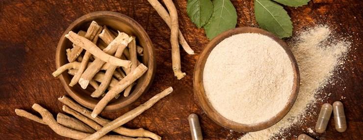 The truth behind Ashwagandha - MaxiNutrition