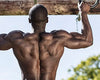 BCAA : The Uses