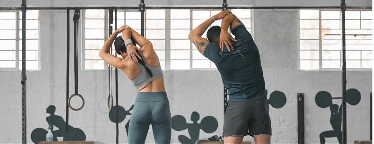 Back to the gym - MaxiNutrition