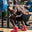 Benefits of Slow and Low weight training