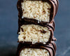 Bounty Inspired Protein Bars