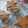 Gingerbread Protein Biscuits