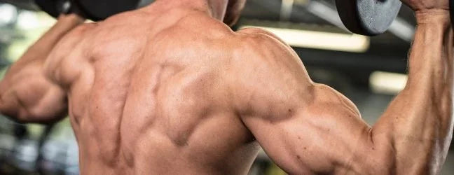 HMB for Bodybuilding – MaxiNutrition