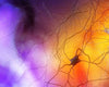 Honing your Hormones - Insulin, Growth Hormone and Cortisol