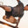 Hormones and Exercise