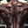 The Value of Protein Supplements