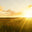Vitamin D: All you need to know