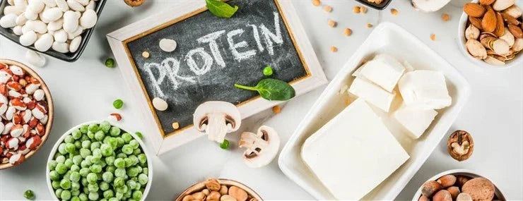 What is Whey Protein Isolate? - MaxiNutrition