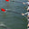 Benefits of Rowing
