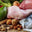 Paleo Diet Explained