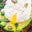 Avocado and Poached Egg Toast - Maximuscle Recipe - MaxiNutrition