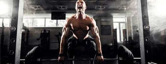 Add Mass: Best Supplements For Bulking - MaxiNutrition