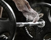 Top 5 Protein Myths Debunked