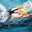 Swimming For Fitness and Strength