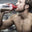 Why Choose Maximuscle Protein?