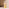Thumbnail for MaxShake vanilla protein shake bottle with vanilla beans on a beige background