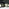 Thumbnail for 