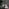 Thumbnail for 