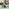 Thumbnail for 