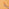 Thumbnail for 