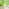 Thumbnail for 