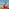 Thumbnail for 