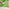 Thumbnail for 